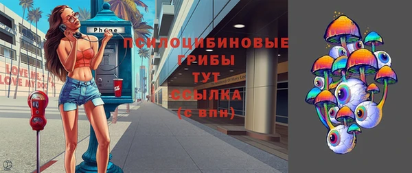 герыч Верхний Тагил