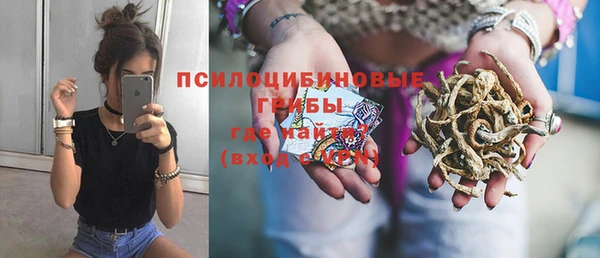 герыч Верхний Тагил