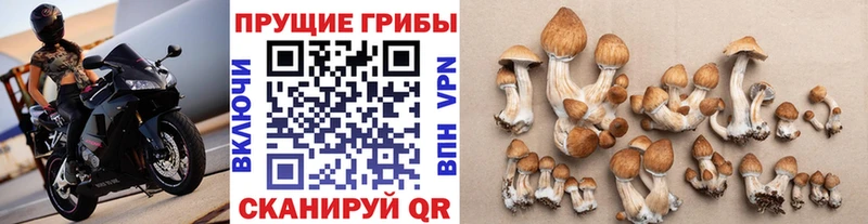 Галлюциногенные грибы Magic Shrooms  Купить  Уржум 
