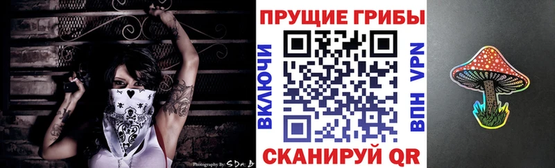 Галлюциногенные грибы Magic Shrooms Уржум