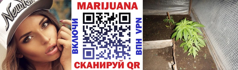 Купить  Уржум  Каннабис SATIVA & INDICA 